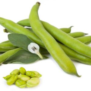 Beans(বীনস)