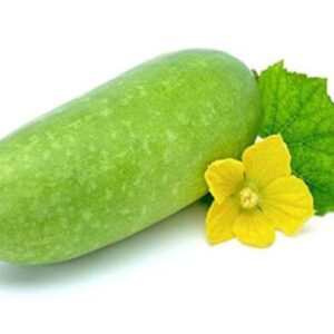 Rice Pumpkin (চাল কুমড়ো)