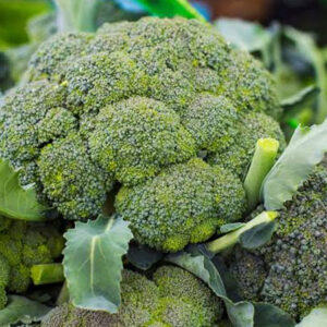 Broccoli ব্রকলি (সবুজ ফুলকপি )