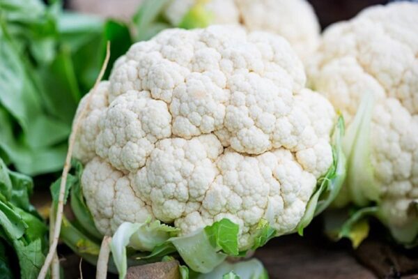 Cauliflower (ফুলকপি)