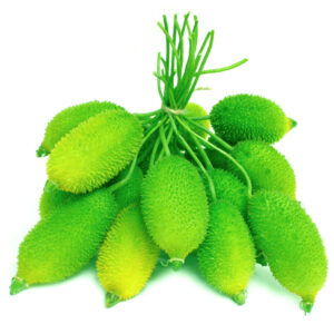 Teasel Gourd ( কাঁকরোল )