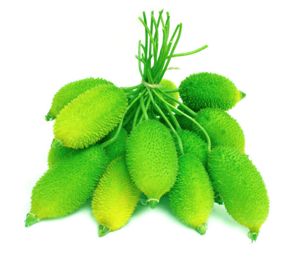 Teasel Gourd ( কাঁকরোল )
