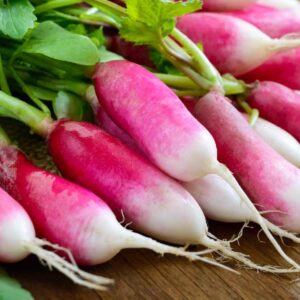 Radish (মুলো)