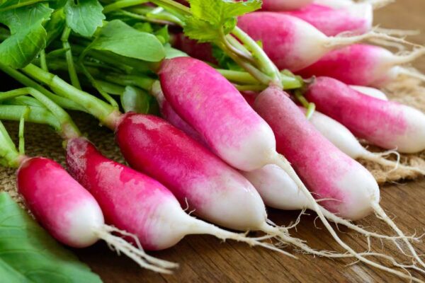 Radish (মুলো)